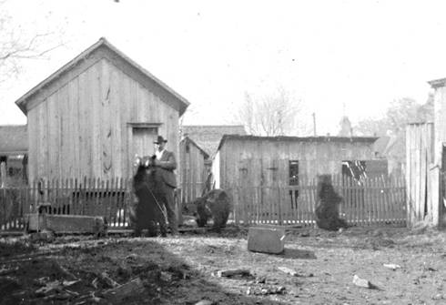 Greenville Texas circus bears old photo