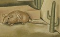 Armadillo