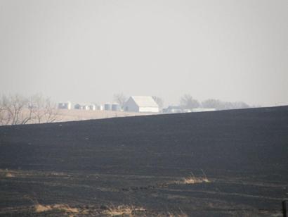 Charred Kansas landscape after a controlled 