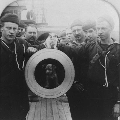 USS Texas Cat and Dog Mascots