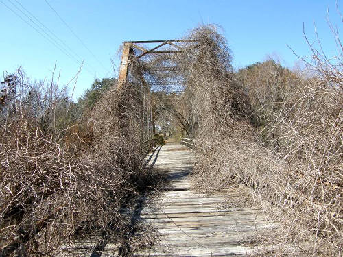 Abandoned  Bee County Medio Creek Bridge, Normanna Tx