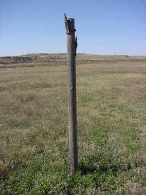 A handmade electric pole