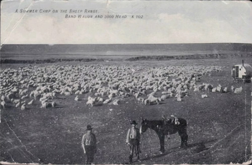 Texas Sheep Ranch,, Reeves County 