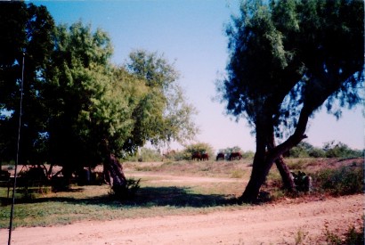 Frio Town TX - Dirt Road