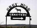 Gray Mule 