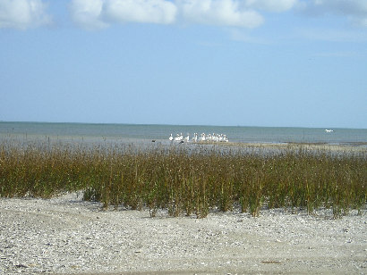 Indianola TX Beach