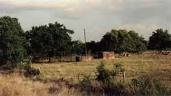 Odds, Texas