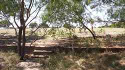 Odds store once stood there