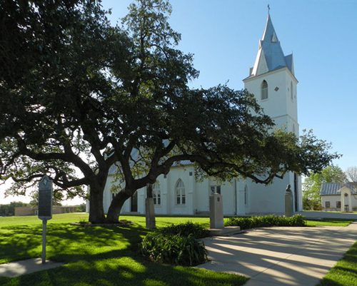 Panna Maria TX historic oak and Immaculate Conception Church