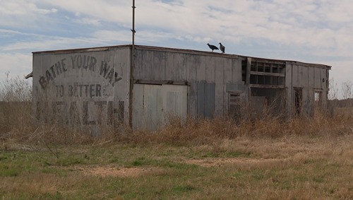 South Bend, Young County,  TX  -  Bathhouse with buzzard on the roof