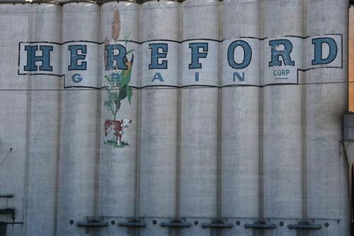 Hereford  Grain painted company sign on grain elevators, Hereford , Texas