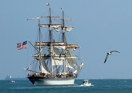 Elissa, pilot boat , tankers, and seagull,  Corpus Christi Bay TX