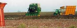 cotton picker