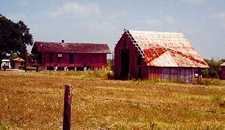 Old plantation in Egypt Texas