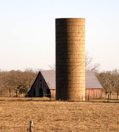 Egypt Tx Silo