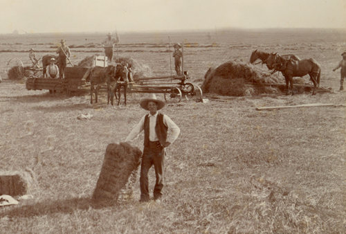 El Campo TX - Hay shipping