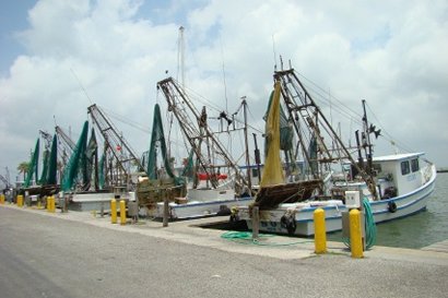 Fulton Texas Harbor Boats