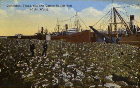 Galveston, Texas, the first cotton export port of the world