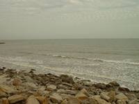 Galveston's rocky shore