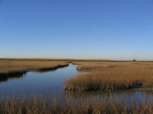 La Marque Texas