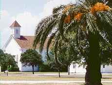 Church and date palm in Matagorda, Texas