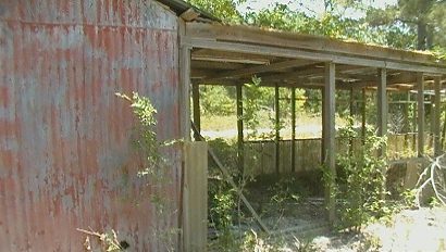 Moonshine Hill TX -  Abandoned Building