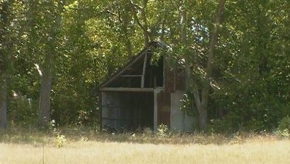 Moonshine Hill TX -  Falling Apart Structure