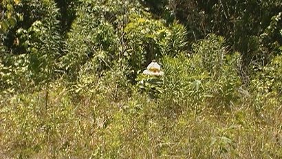 Moonshine Hill TX -  Old Fire Hydrant