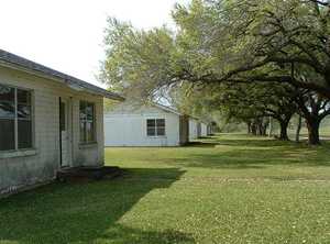 Newgulf Texas houses and trees