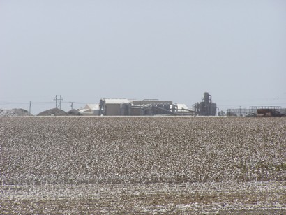 Odem TX - Cotton field and cotton gin