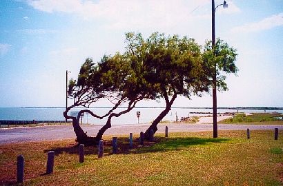 Olivia Texas -View of Kellers Bay