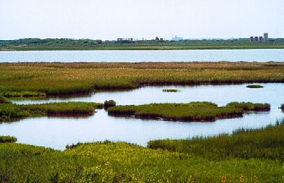 TX - Olivia Haterius Park, Marsh in the Texas gulf coast