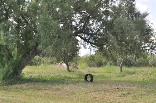 Olivia TX tire swing