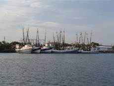 Fishing boats in Port Isabel, Texas