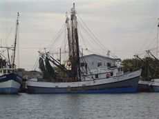 Fishing boats in Port Isabel, Texas