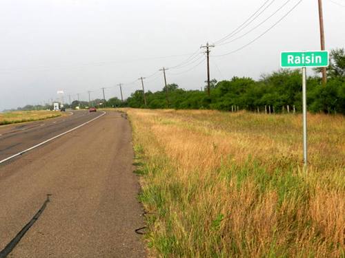 Raisin Tx Road Sign