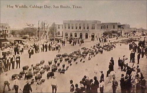 San Benito TX - Hog Waaddle, Cabbage Day
