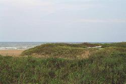 Sand dunes in South Padre Island