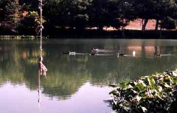 Guadalupe River, Center Point Texas