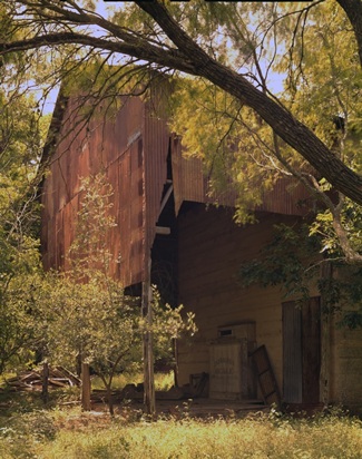 Gruene TX shed