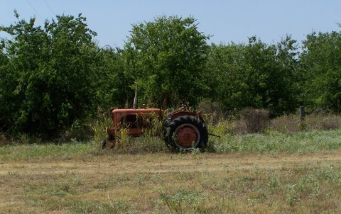 Harkeyville TX