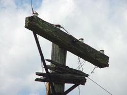 Old telephone pole near Joppa, Texas