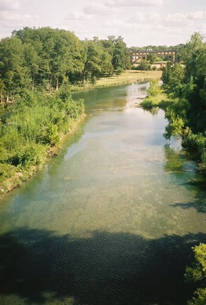Guadalupe River, New Braunfels, Texas
