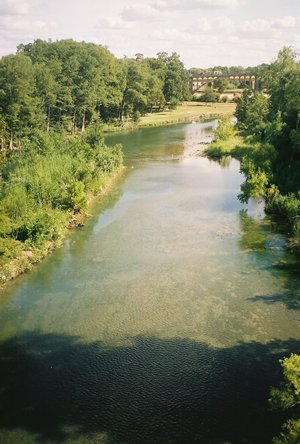 Guadalupe River, New Braunfels, Texas 