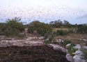 Devil's Sinkhole