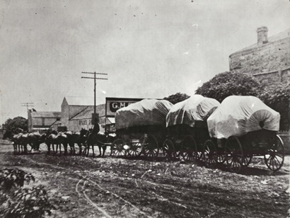 Robert L.Barrows with wagons of wool,  Rocksprings Texas 