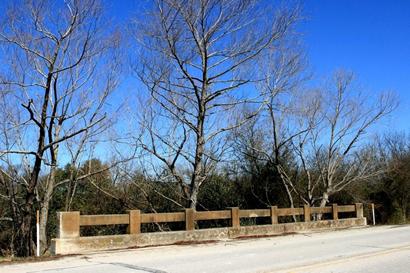 Solms Texas - Bridge & trees