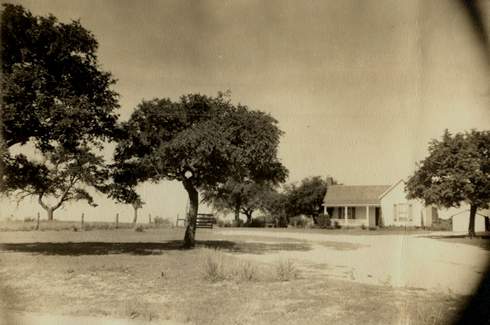 Star Texas farmhouse and trees
