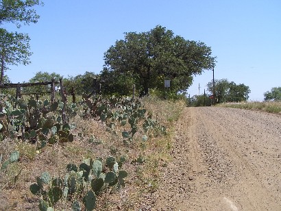 Streeter TX - Cactus on the Country Road