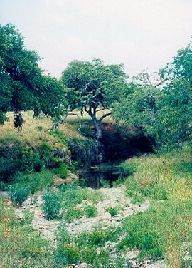 Creek at Twin Sisters, Texas